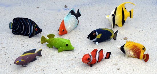 Kleine_Fische_au_4e1ffba7d567e.jpg
