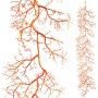 Deko-Kette-Koralle-150-cm-orange-zu-mieten