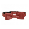 Rote_Fliege_miet_502285f689424.png