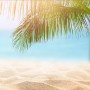 Sommerbanner-1-Kopie9
