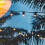 Sommerbanner-2-Kopie