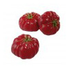 Tomaten