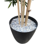 Bambus_klein_4fcdf3553c4b0.png