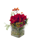 amarylis-gesteck-rot-1-x-pflanze