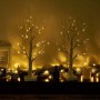 led-baum1