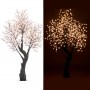 led-kirschbaum1