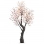 led-kirschbaum