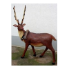 rentier-elch-weihnachten-mieten